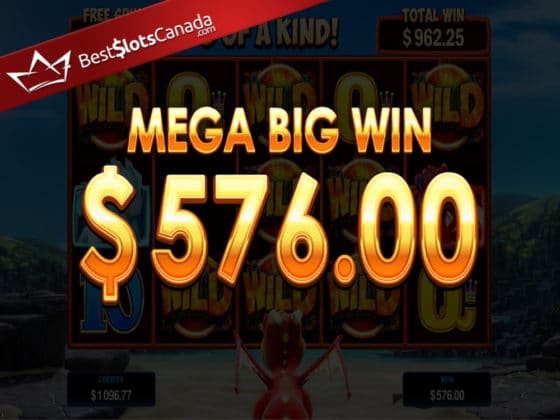 Dragonz Online Slot Bonus Big WIn